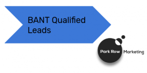 Results focused BANT Qualified Lead Generation